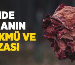 Zina Ve Zinanın Hükmü