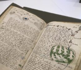 Voynich El Yazması